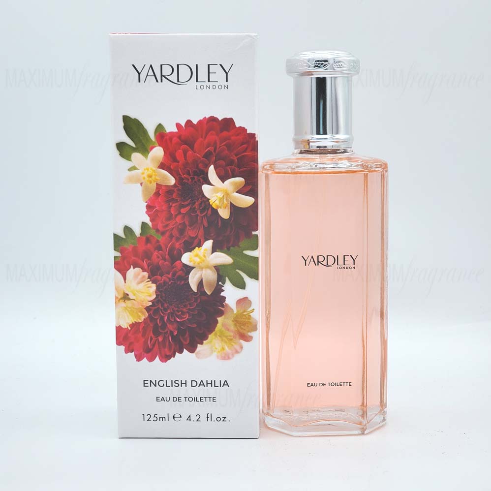 English Dahlia - Maximum Fragrance