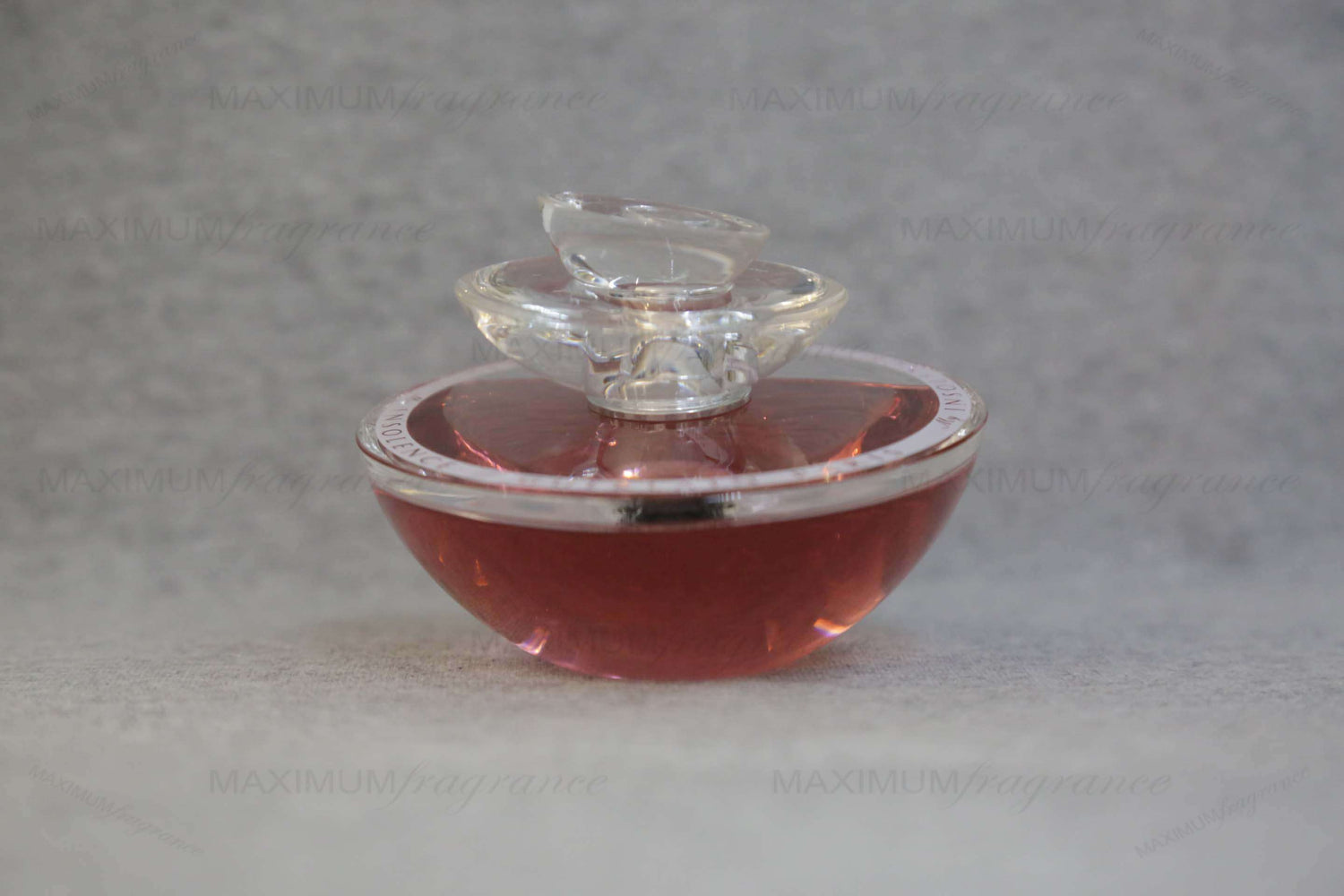 My Insolence - Maximum Fragrance