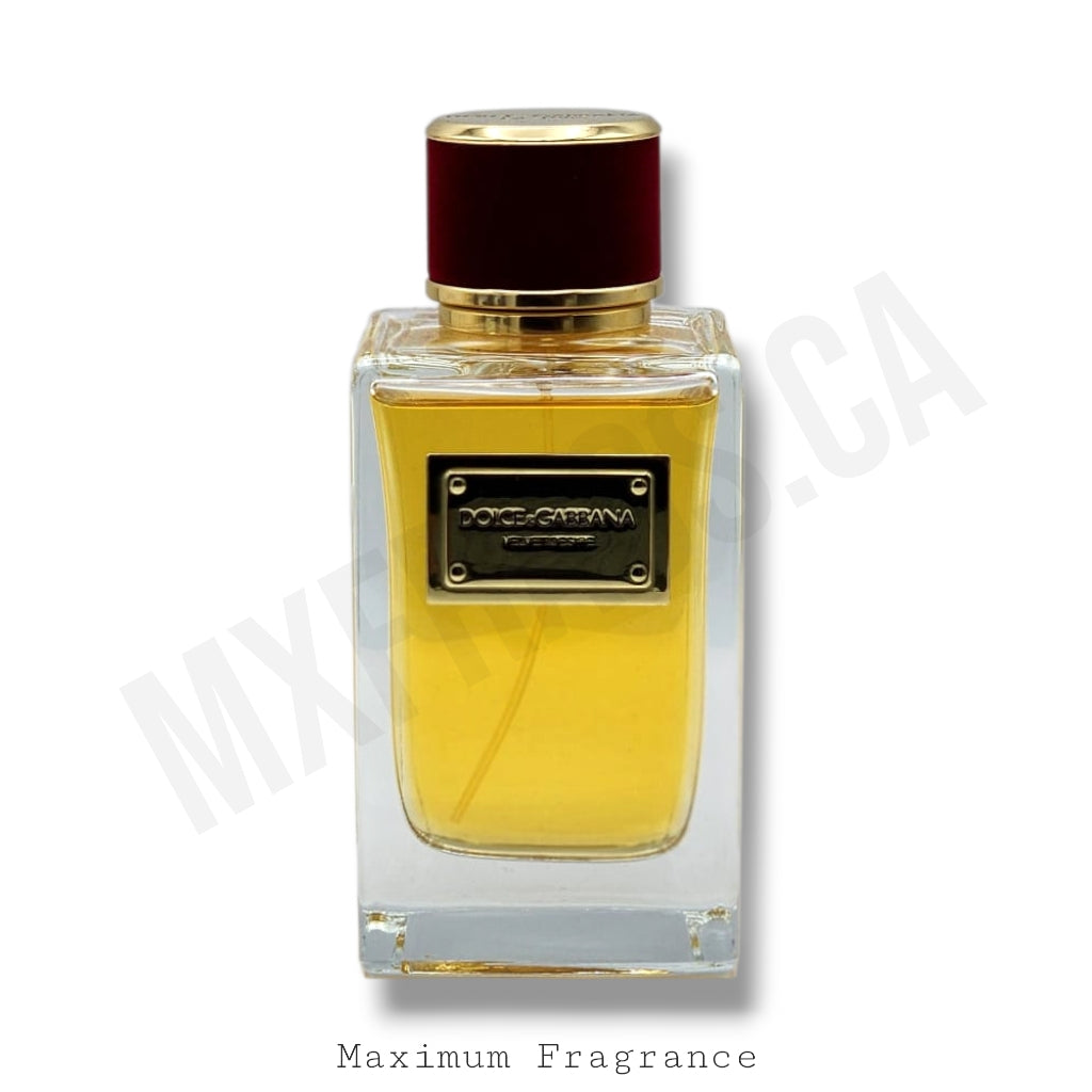 Dolce & Gabbana Velvet Desire