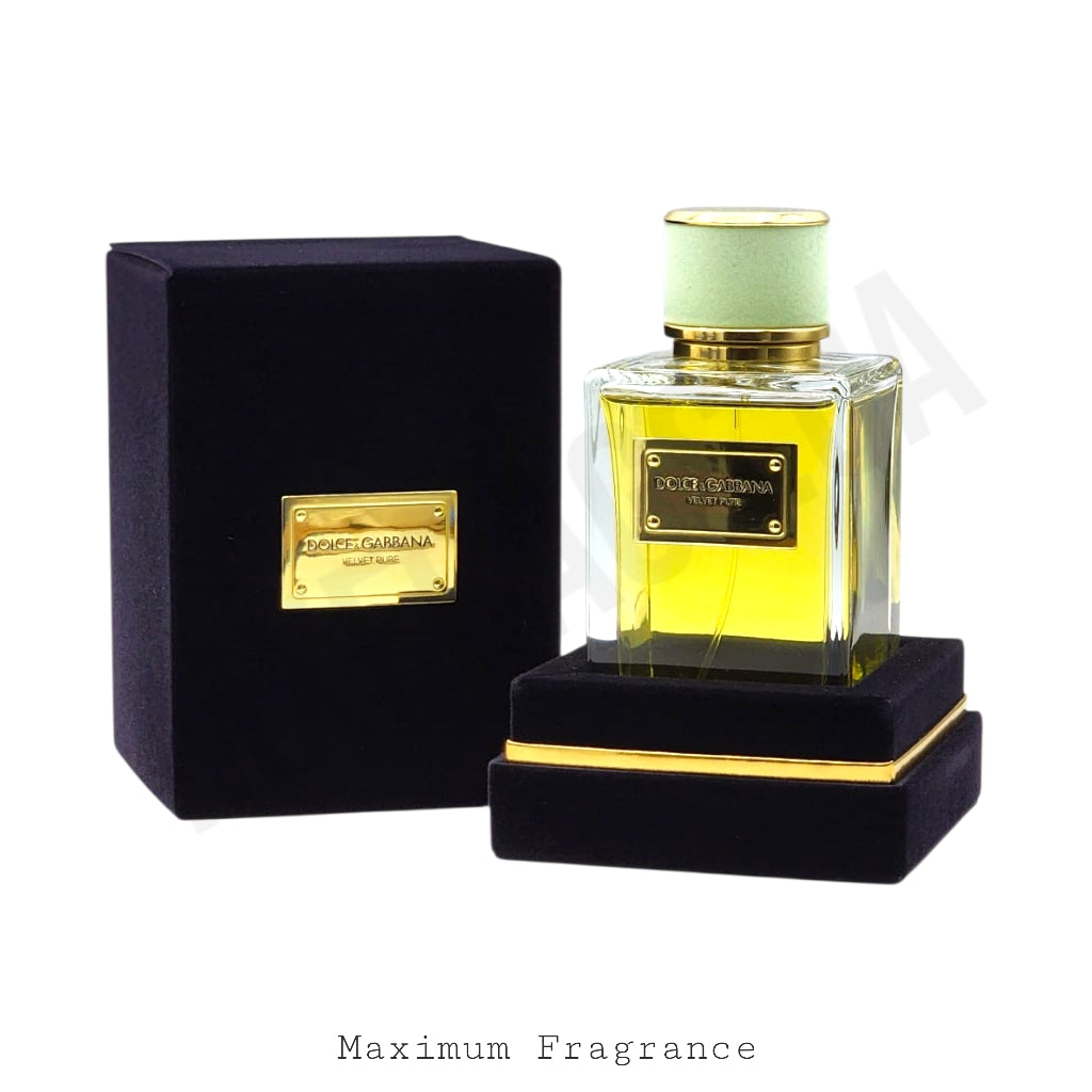 Dolce & Gabbana Velvet Pure