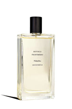 polianthes - Maximum Fragrance