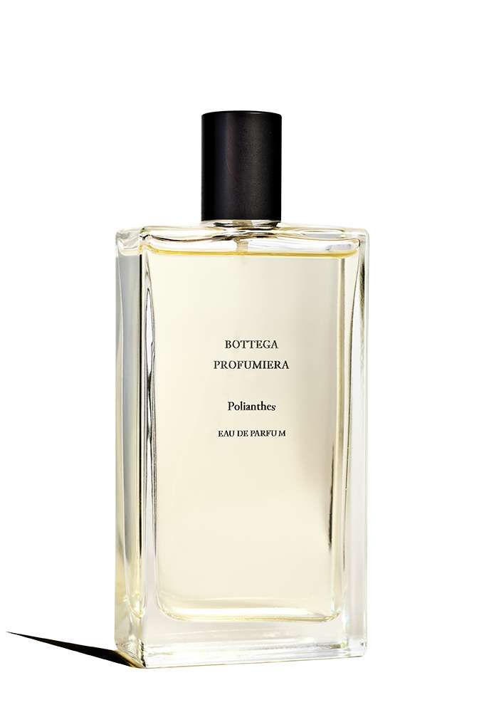 polianthes - Maximum Fragrance