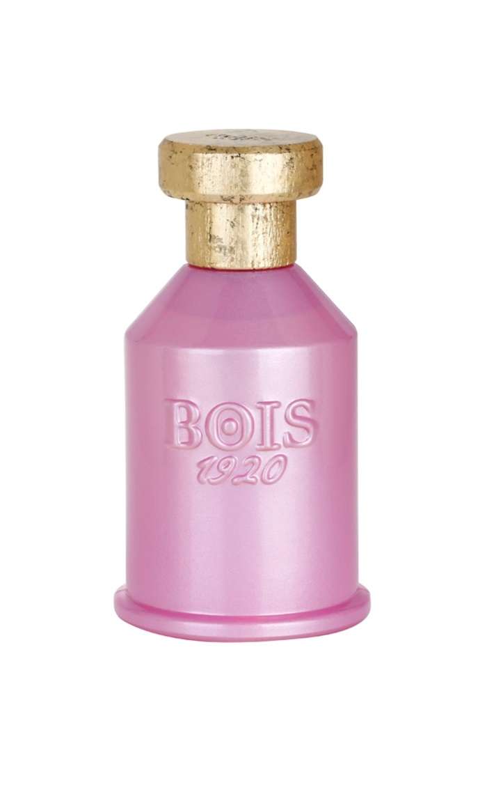 Rosa di Filare - Maximum Fragrance