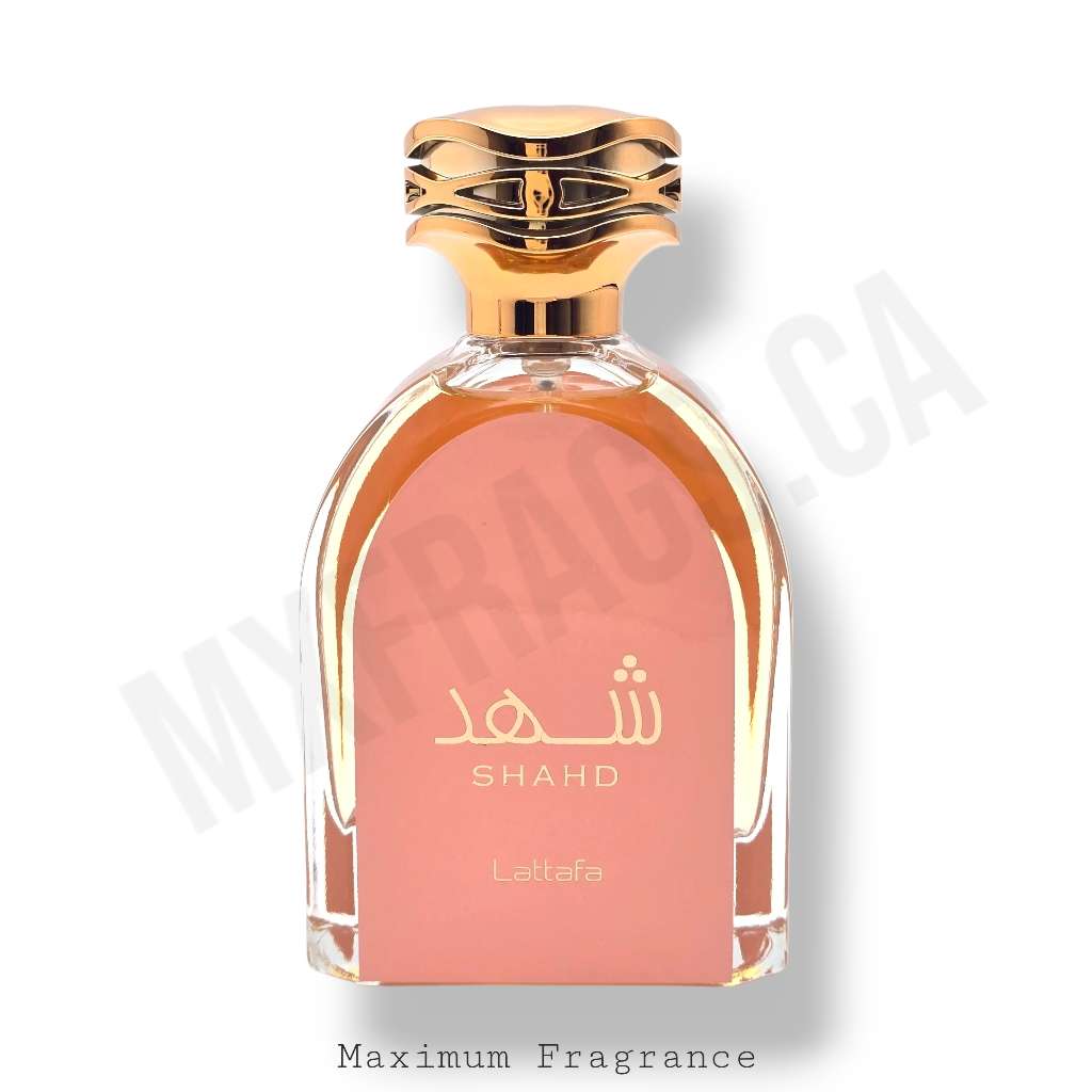 shahd - Maximum Fragrance