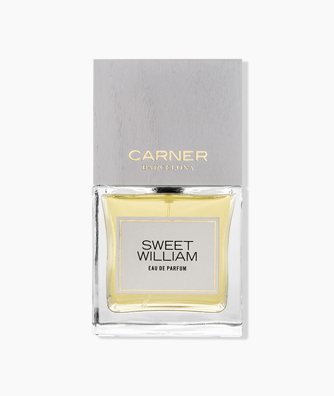 Sweet William - Maximum Fragrance