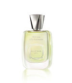 Terrasse a S - Maximum Fragrance