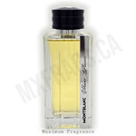 Vetiver Glacier - Maximum Fragrance