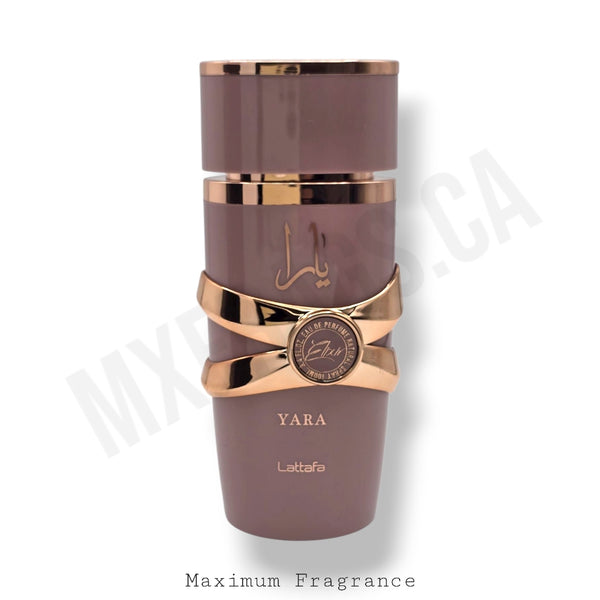 Yara Elixir – Maximum Fragrance