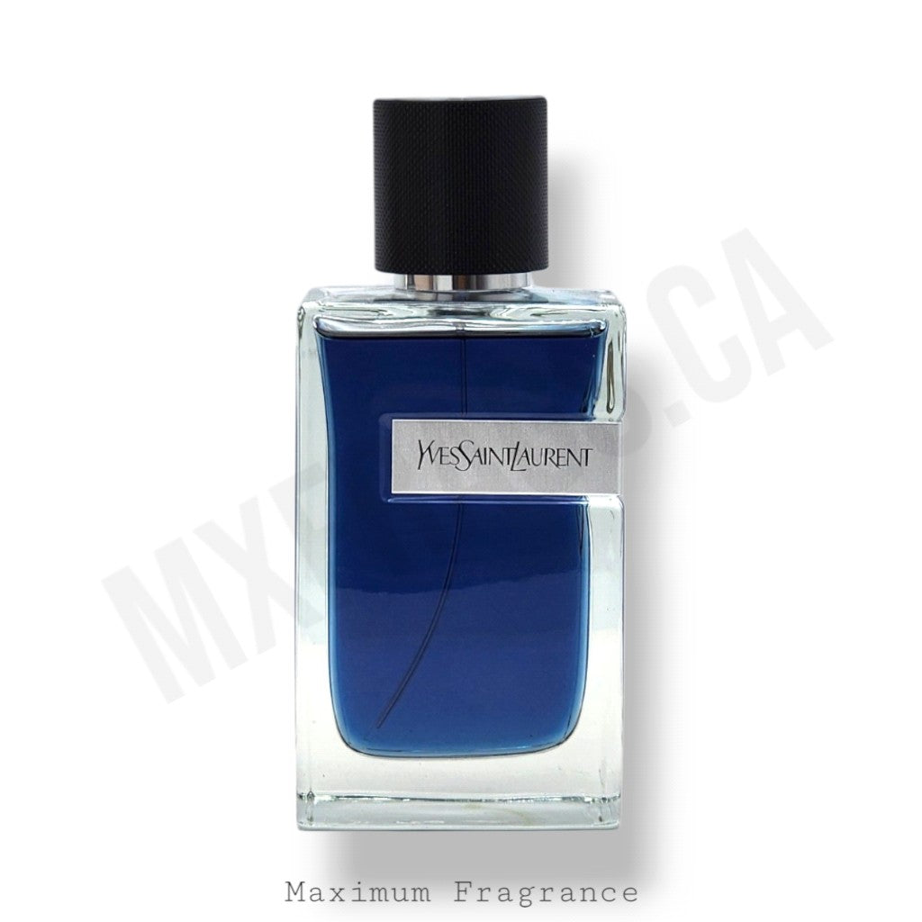 YSL Y Iced Cologne