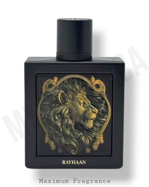 Lion by Rayhaan